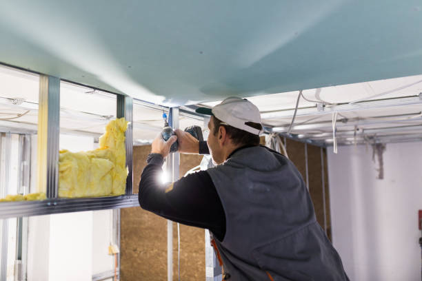 Insulation for Commercial Buildings in Halstead, KS