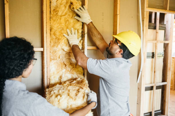 Best Home Insulation Services  in Halstead, KS